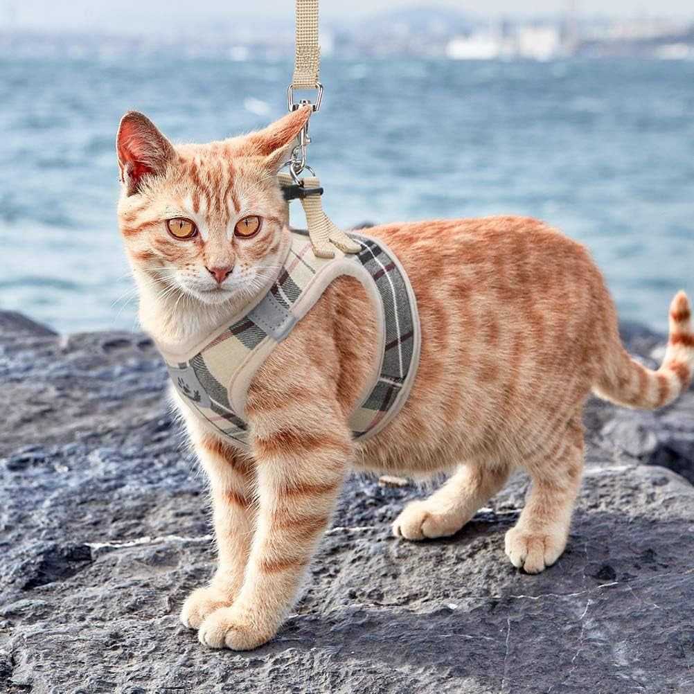 Soft Mesh Cat Harness and Leash Set, Escape Proof Vest Harnesses for Outdoor Walking